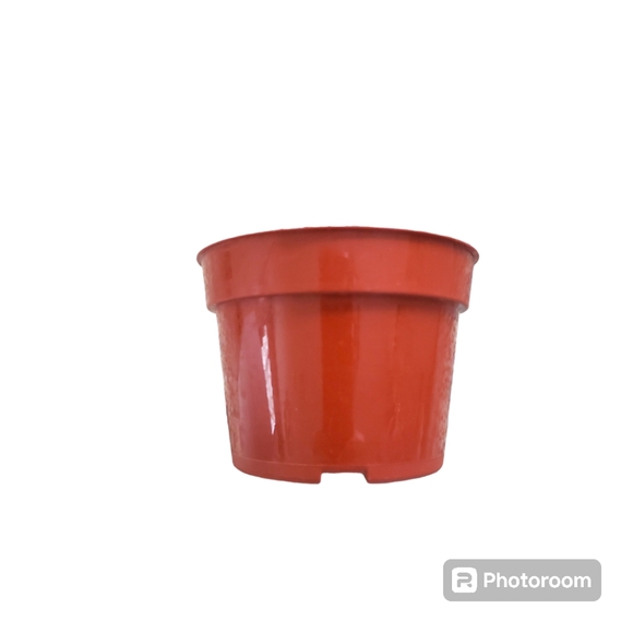 White Ceramic Planter - Picture 4 of 6